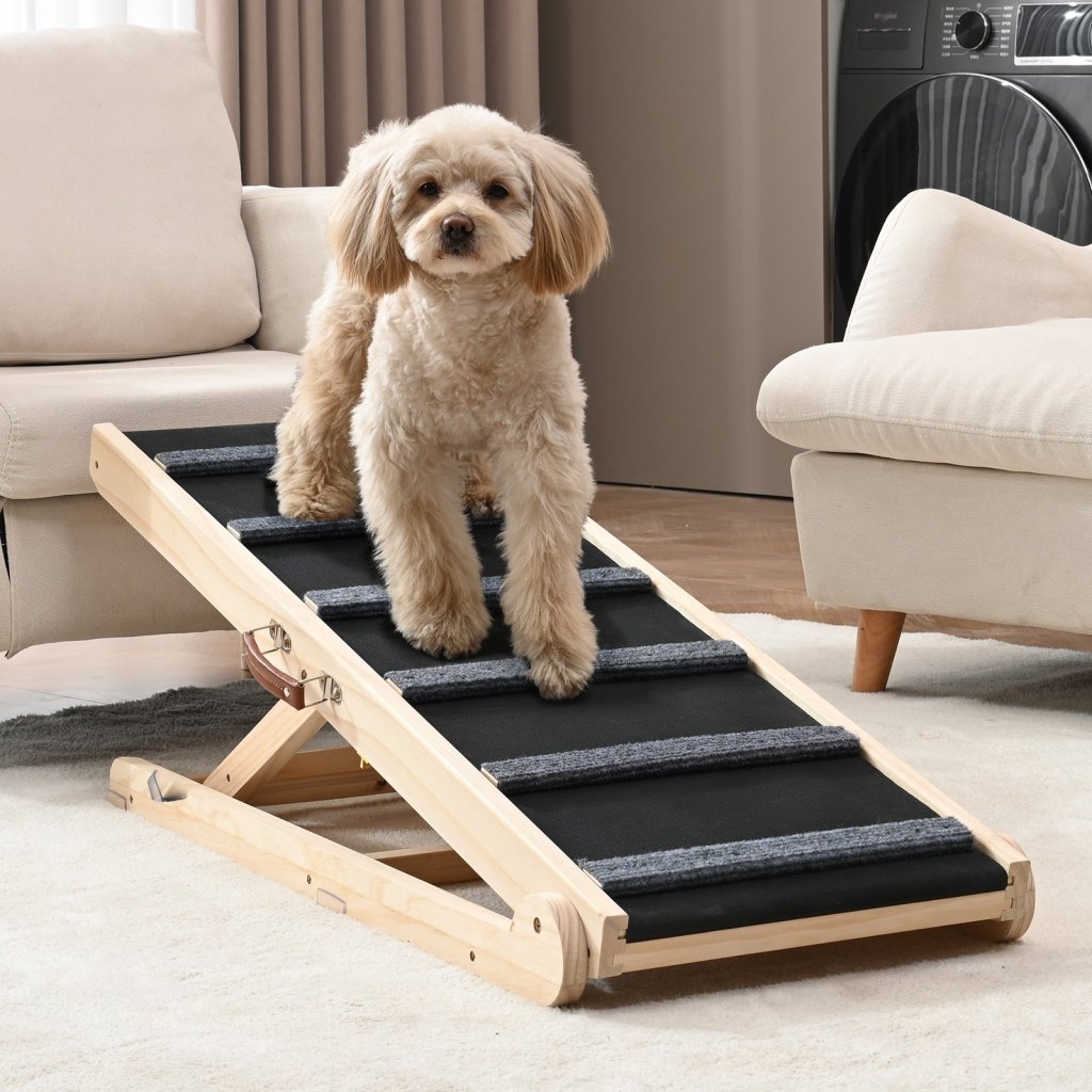 MAIN_15835-4_us-cwaqpdhsmzw0saog7v0-original-img-v1-pet-safety-ramp-m100-1-12