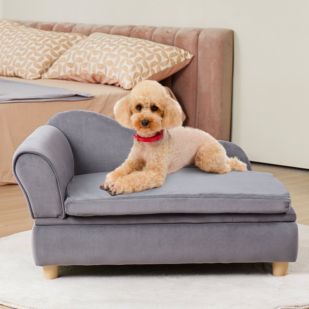 MAIN_15895-4_us-bycwsfbyzfxzn6lnhv0-original-img-v1-pet-sofa-m100-1-12