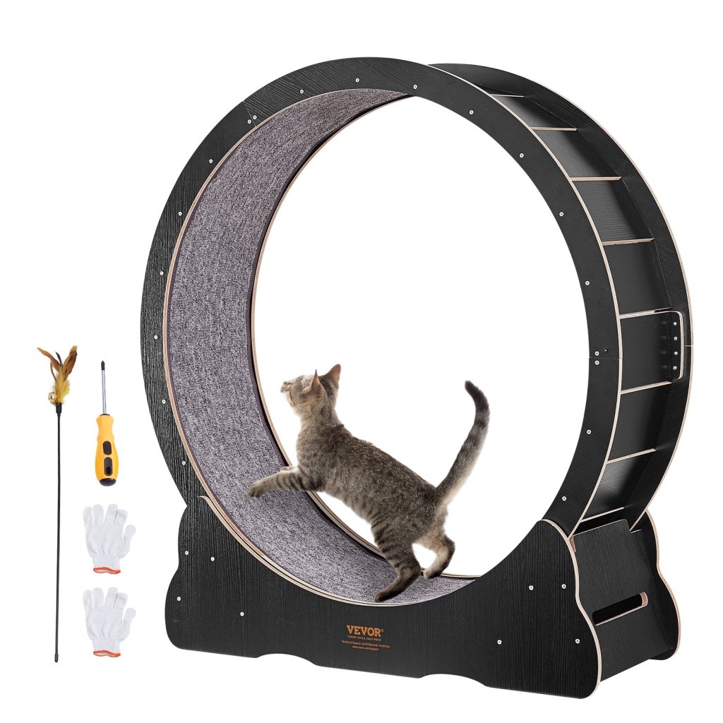 19810-11_us-mpbj433inch0b6pdyv0-original-img-v1-cat-exercise-wheel-m100-1-2