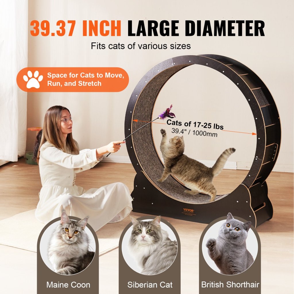 19810-8_us-mpbj433inch0b6pdyv0-original-img-v1-cat-exercise-wheel-f3