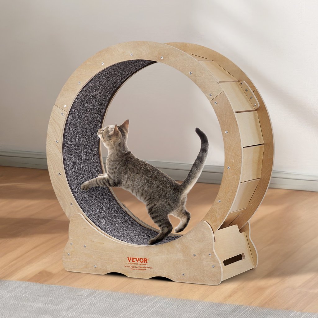 MAIN_19813-4_us-mpbj295inch0v5ww9v0-original-img-v1-cat-exercise-wheel-m100-1-12