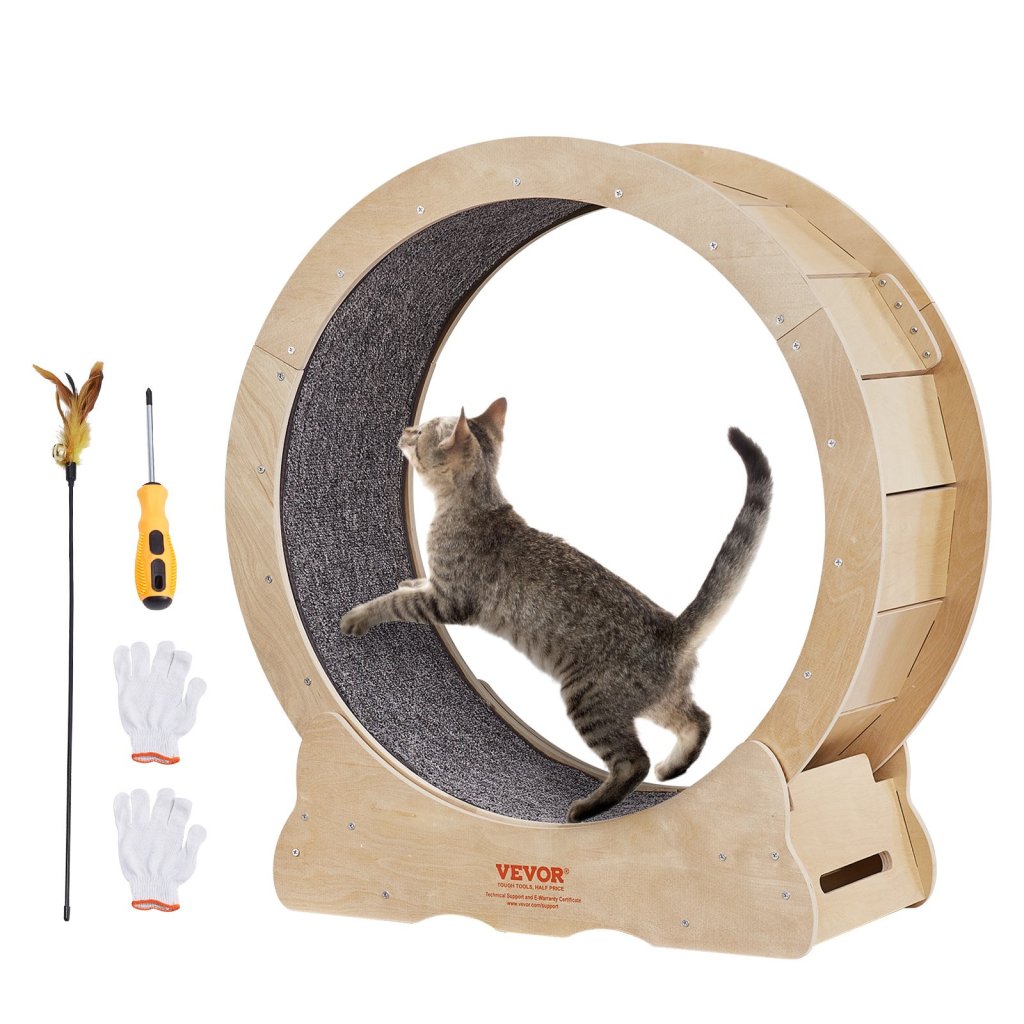 19813-11_us-mpbj295inch0v5ww9v0-original-img-v1-cat-exercise-wheel-m100-1-2