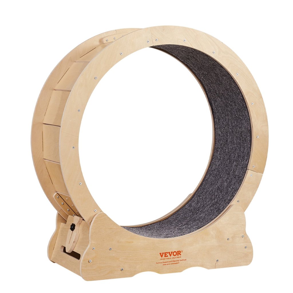 19813_us-mpbj295inch0v5ww9v0-original-img-v1-cat-exercise-wheel-m100-12
