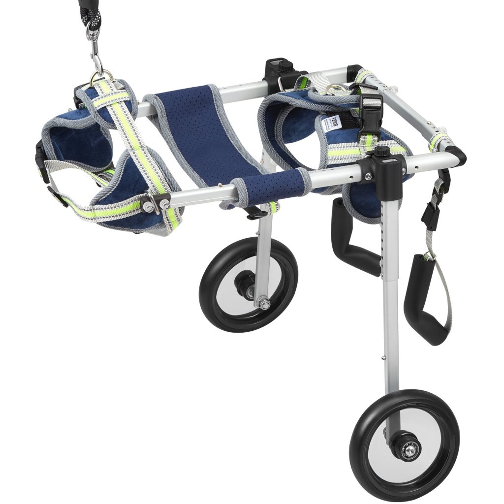 19852-2_us-cwlyllsllstxpgg1qv0-original-img-v1-pet-wheelchair-m100-10