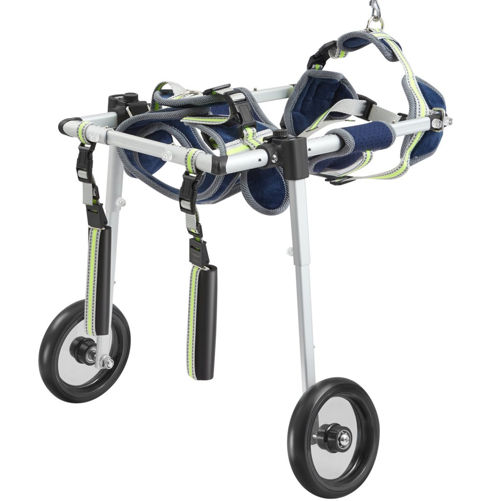 19852_us-cwlyllsllstxpgg1qv0-original-img-v1-pet-wheelchair-m100-12
