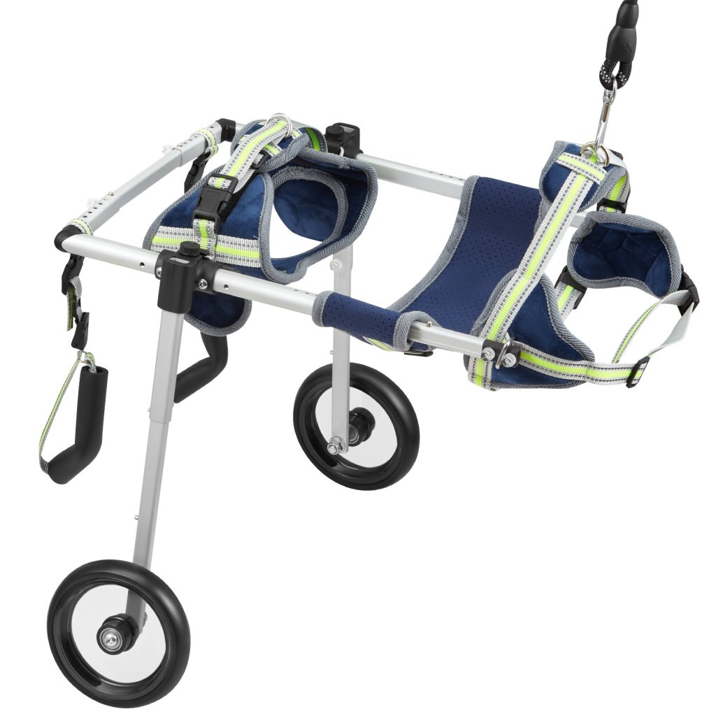 19855_us-cwlyllsllsxhjr1j3v0-original-img-v1-pet-wheelchair-m100-12