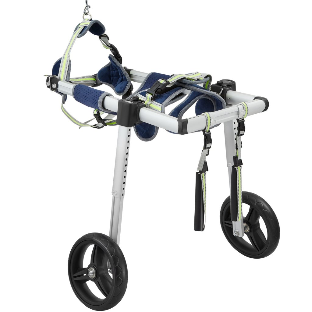 19858-3_us-cwlyllsllszhtmyxjv0-original-img-v1-pet-wheelchair-m100-9