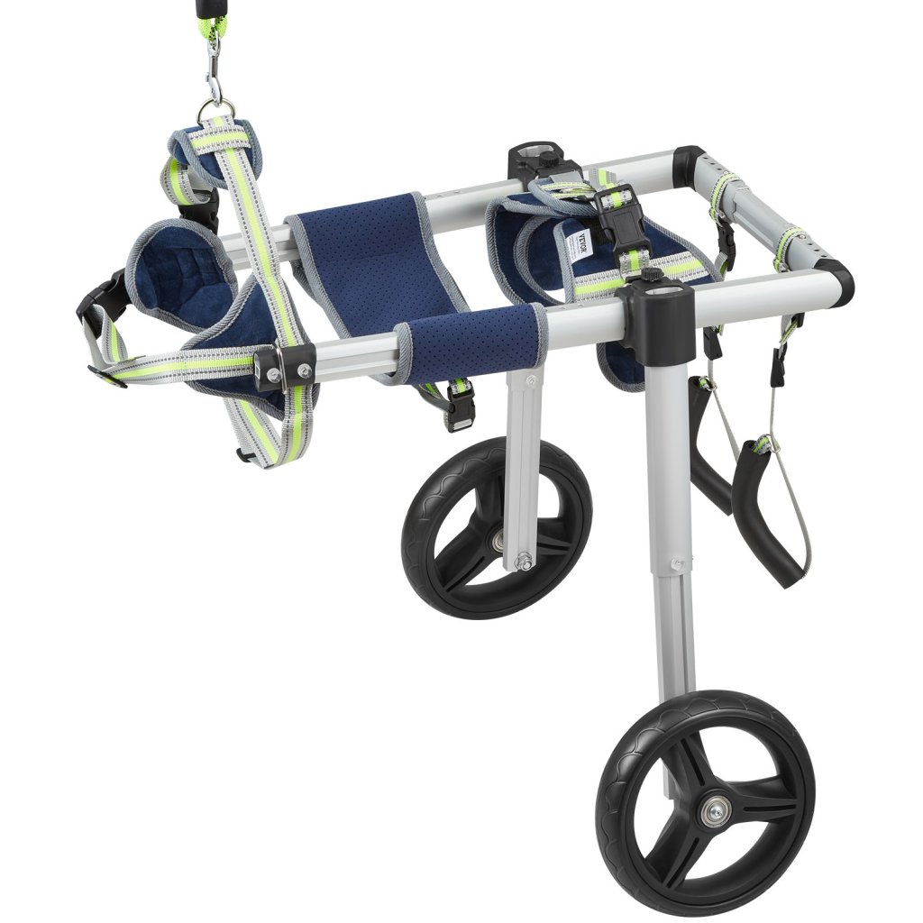 19858-2_us-cwlyllsllszhtmyxjv0-original-img-v1-pet-wheelchair-m100-10