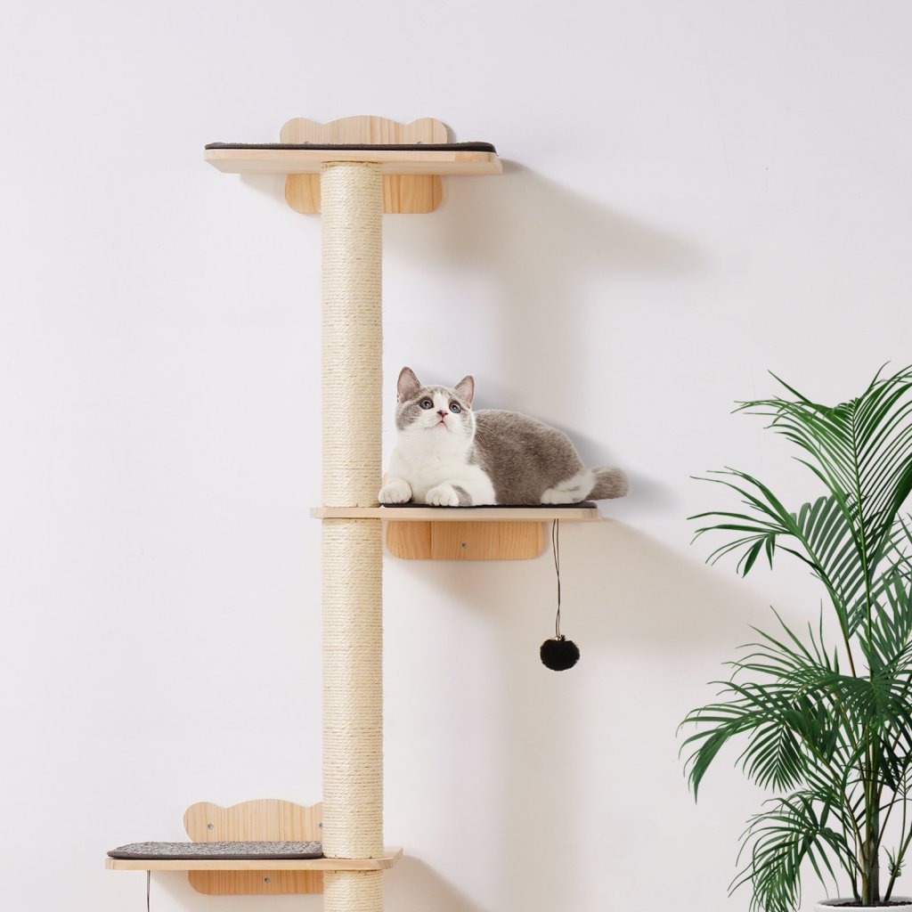 MAIN_24605-3_us-gdsbgsmpjsm64oe89v0-original-img-v1-cat-wall-shelves-m100-1-12