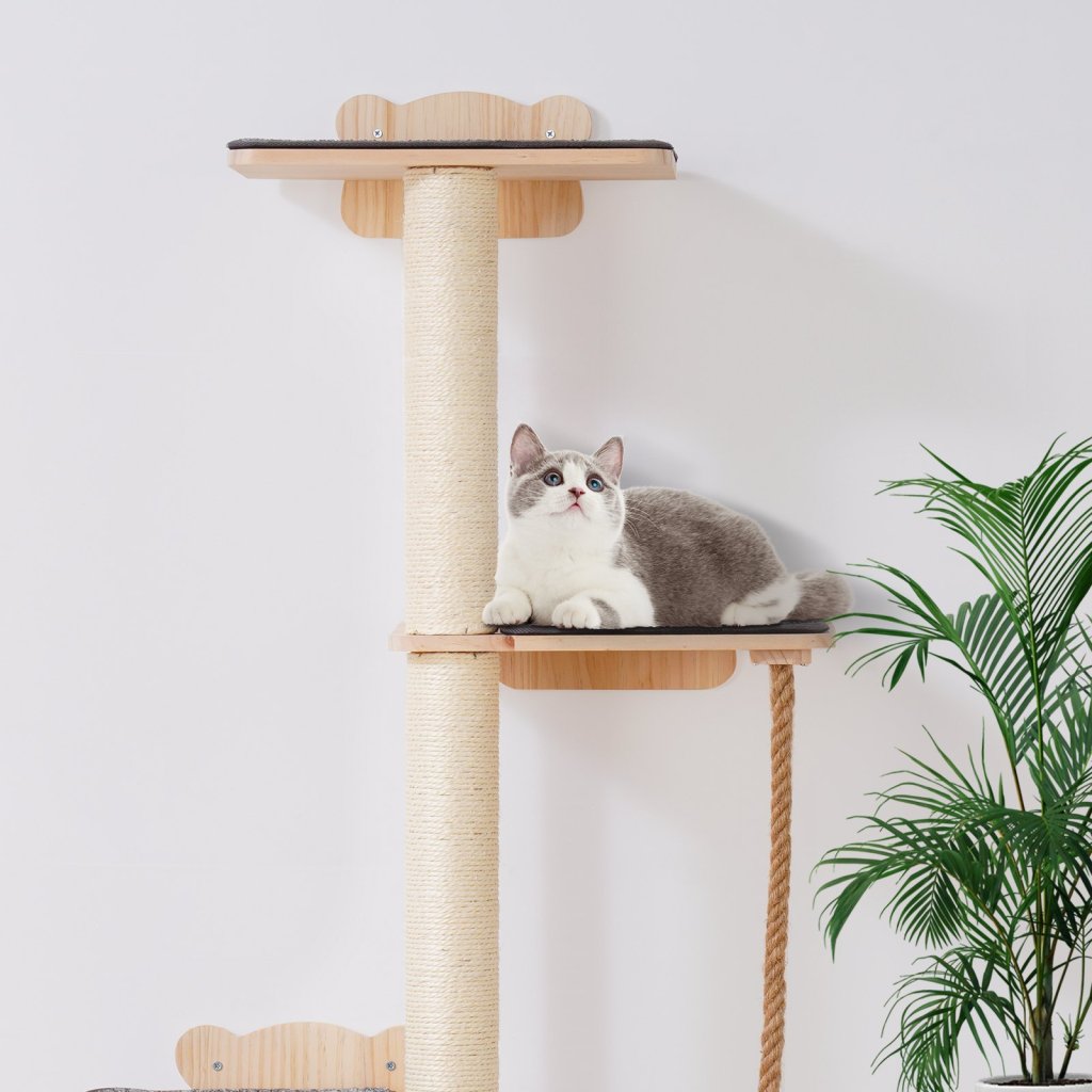 24608-3_us-gdsbgsmpjsm2eofxyv0-original-img-v1-cat-wall-shelves-m100-1-12