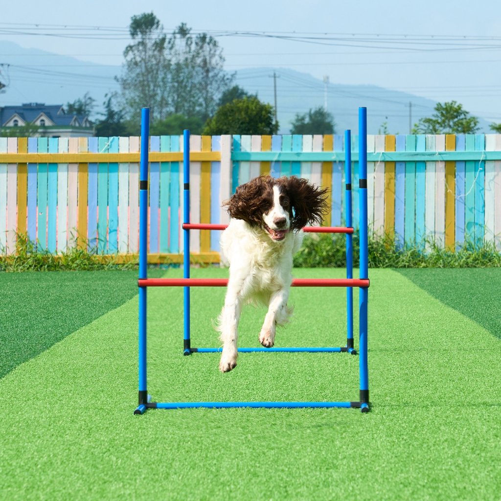 24611-4_us-tykmjkctjsjkf0j3nv0-original-img-v1-dog-agility-equipment-m100-1-12
