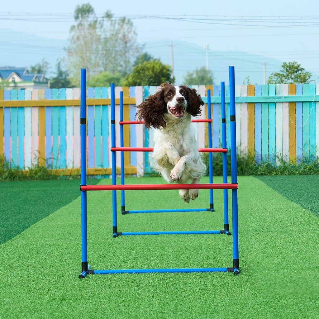 24614-4_us-tykmjkctjdgkcxx7dv0-original-img-v1-dog-agility-equipment-m100-1-12
