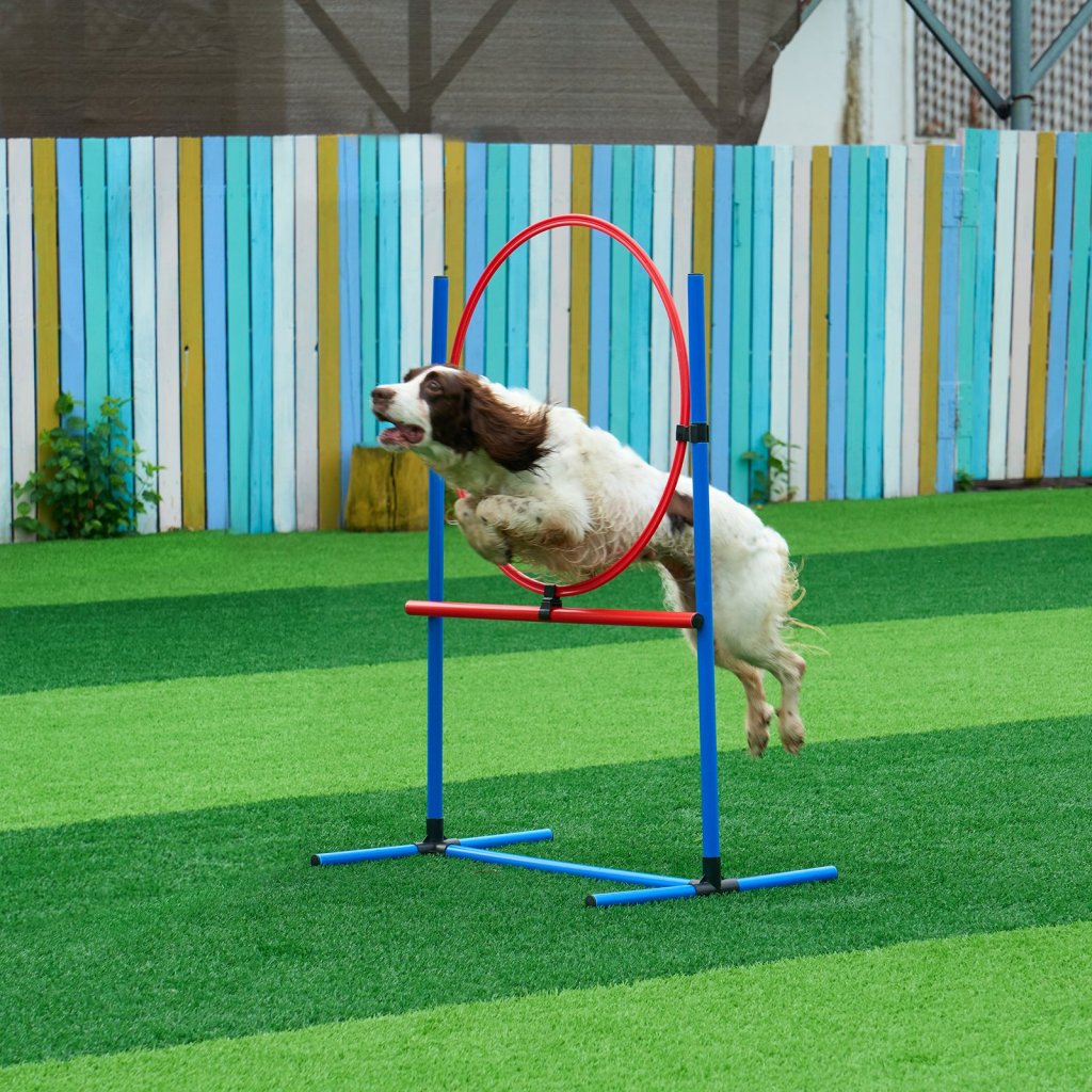 24617-4_us-tykmjkctjsjkustrtv0-original-img-v1-dog-agility-equipment-m100-1-12