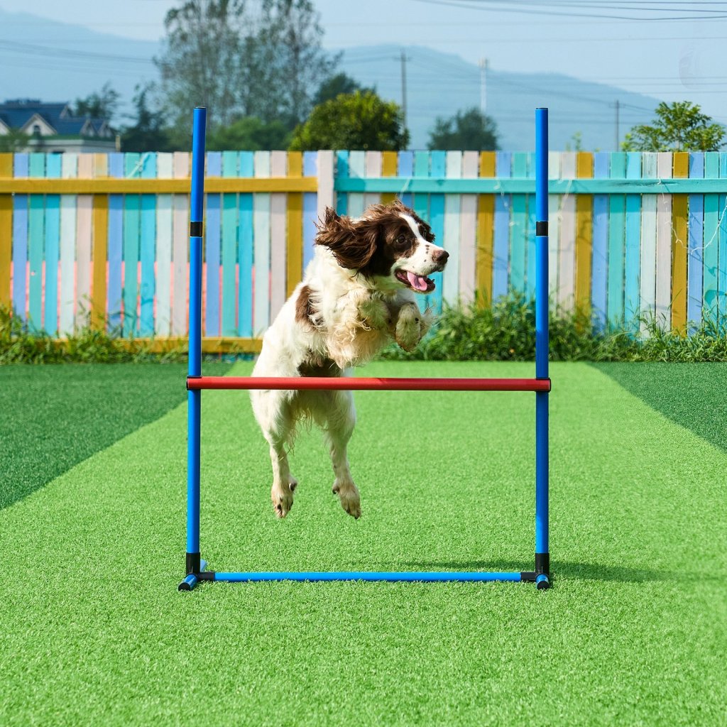 24623-4_us-tykmjkctjjckqmhusv0-original-img-v1-dog-agility-equipment-m100-1-12