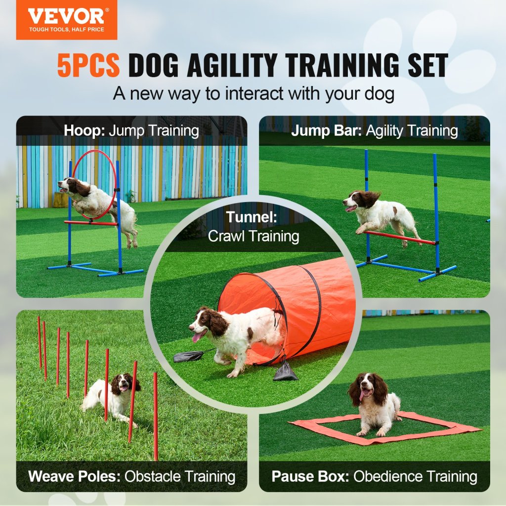24635-10_us-zhkmjkctjwjtuvr75v0-original-img-v1-dog-agility-equipment-f1
