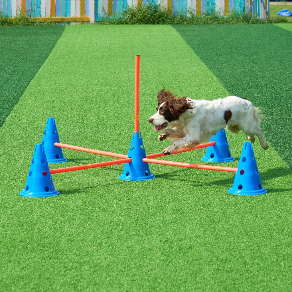 MAIN_24638-4_us-zhkmjkctjjckkqob3v0-original-img-v1-dog-agility-equipment-m100-1-12