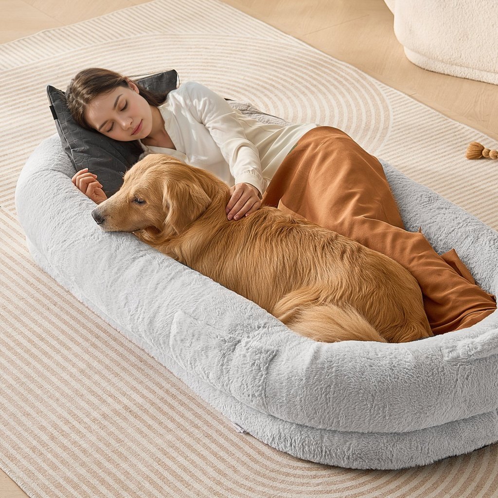 MAIN_24653-4_us-rlgcqbwtyxdmhl7v8v0-original-img-v1-human-dog-bed-m100-1-12