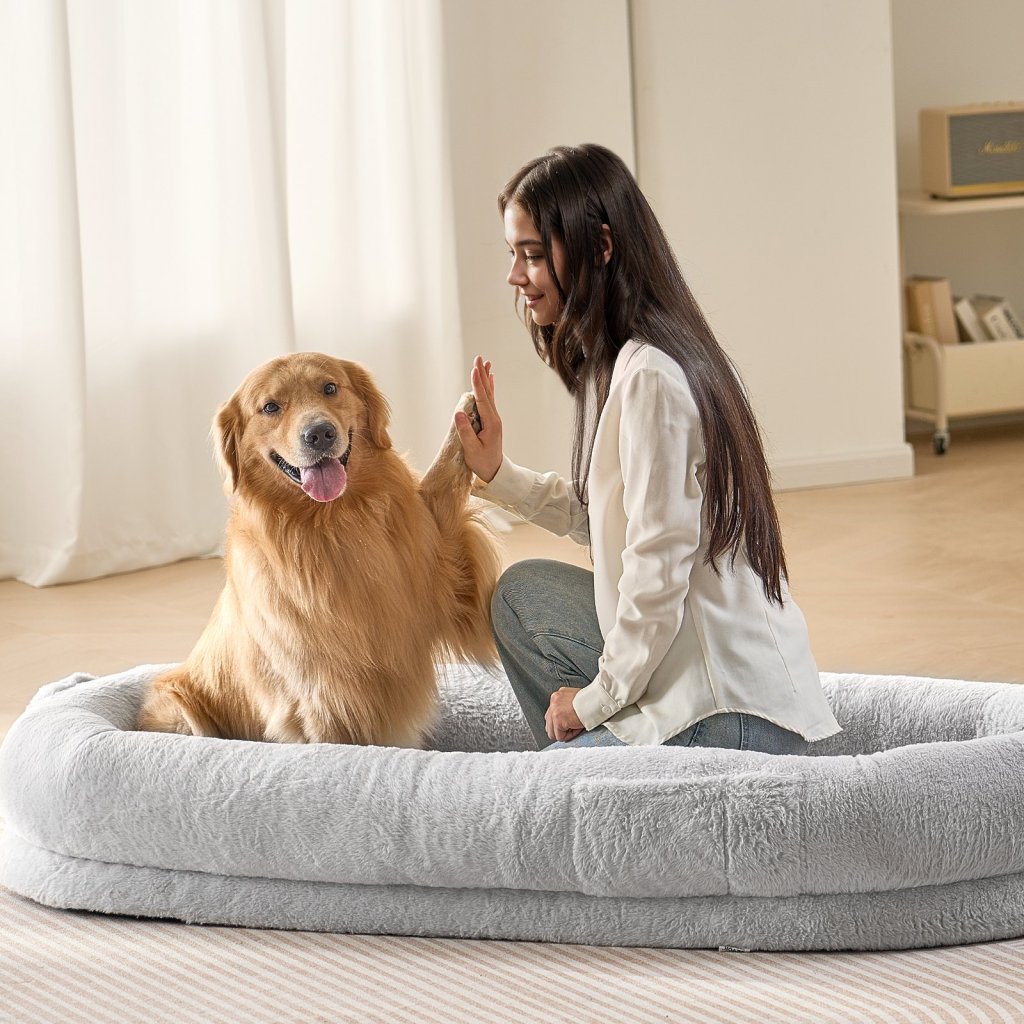 24653-11_us-rlgcqbwtyxdmhl7v8v0-original-img-v1-human-dog-bed-m100-1-2
