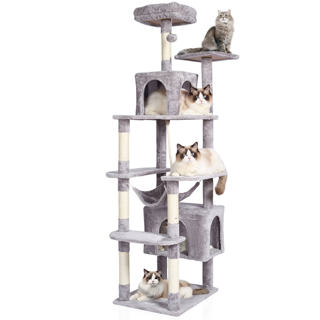 24662-2_us-dxsms9c2fqh0laot7v0-original-img-v1-cat-tree-m100-10