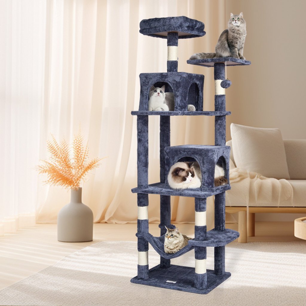 MAIN_24677-4_us-dxsms7c2fsh01ufz8v0-original-img-v1-cat-tree-m100-1-12