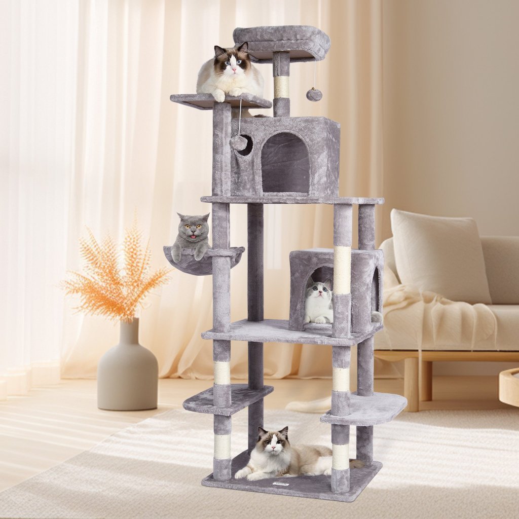 MAIN_24686-4_us-dxsms8c2fqh03s5qhv0-original-img-v1-cat-tree-m100-1-12