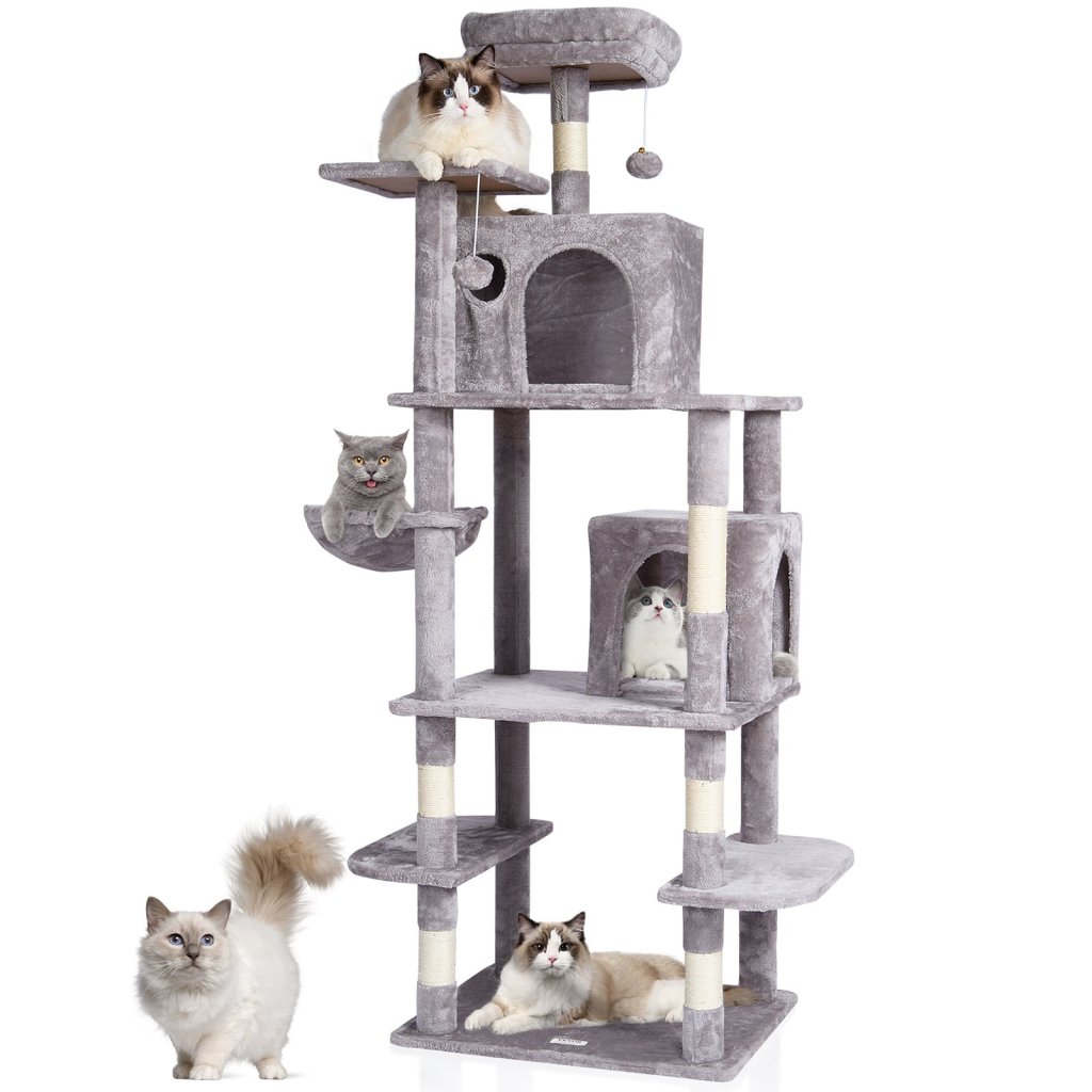 24686-11_us-dxsms8c2fqh03s5qhv0-original-img-v1-cat-tree-m100-1-2