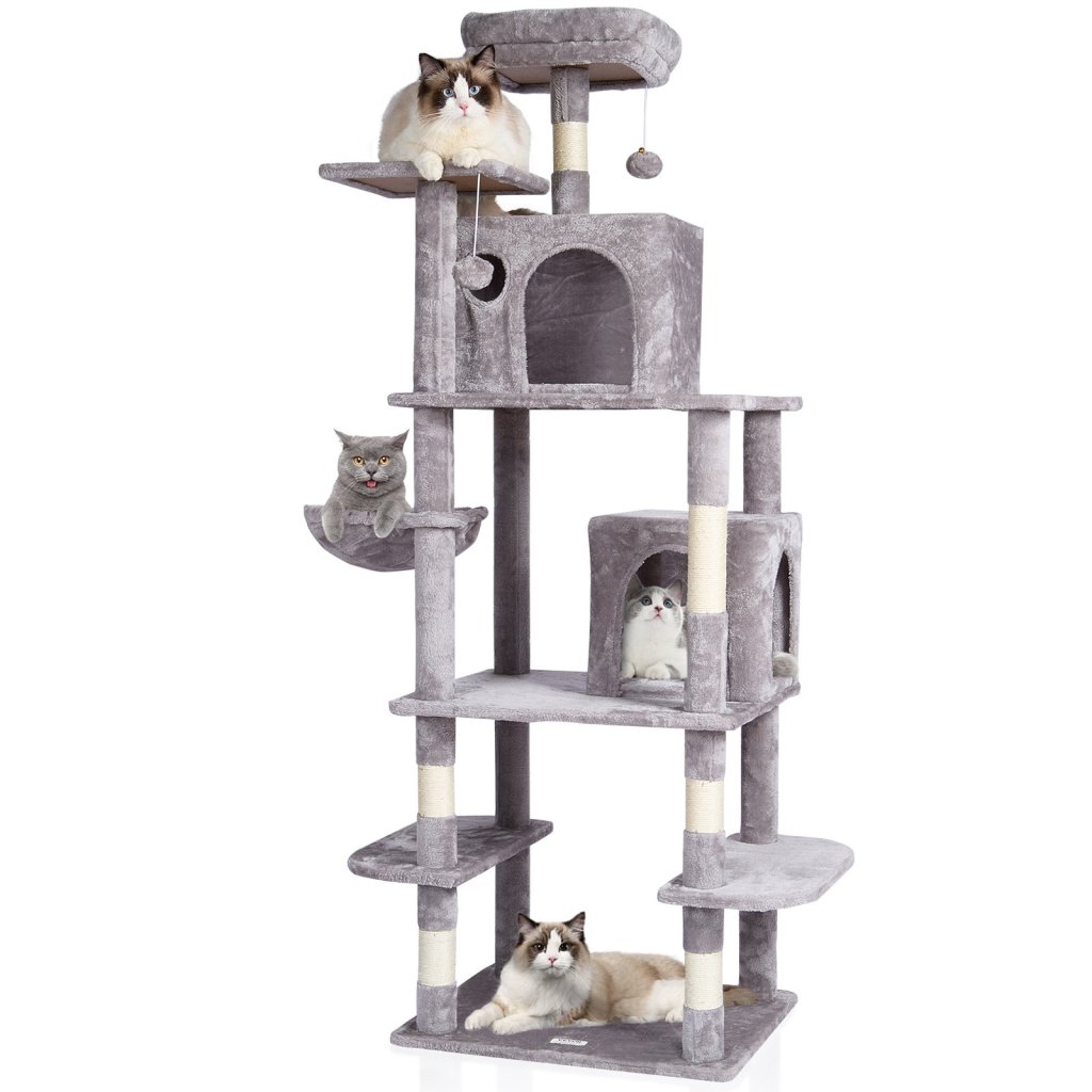 24686-2_us-dxsms8c2fqh03s5qhv0-original-img-v1-cat-tree-m100-10