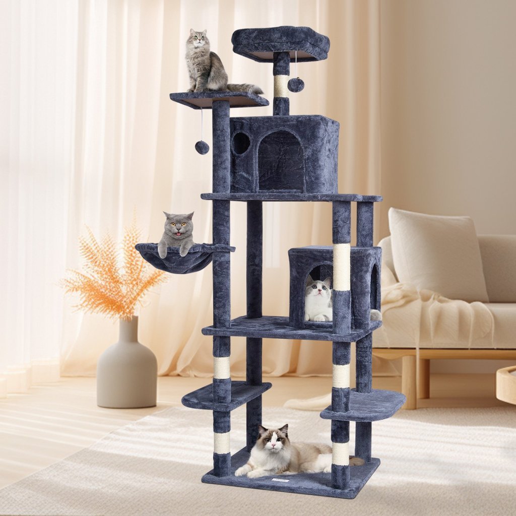 MAIN_24689-4_us-dxsms8c2fsh0s4j5kv0-original-img-v1-cat-tree-m100-1-12