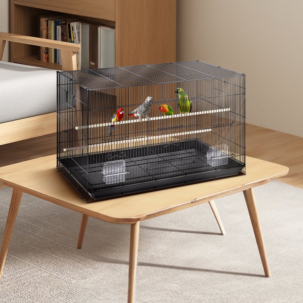 MAIN_24770-4_us-zmsmnnl31191uj93sv0-original-img-v1-bird-cage-m100-1-12