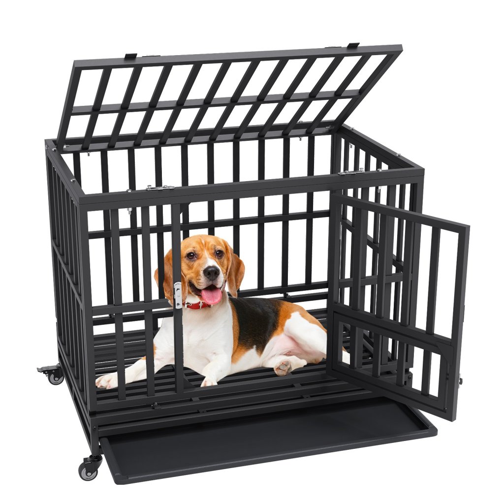25131-11_us-glsysdxpf3742ts8bv0-original-img-v1-dog-crate-m100-1-2