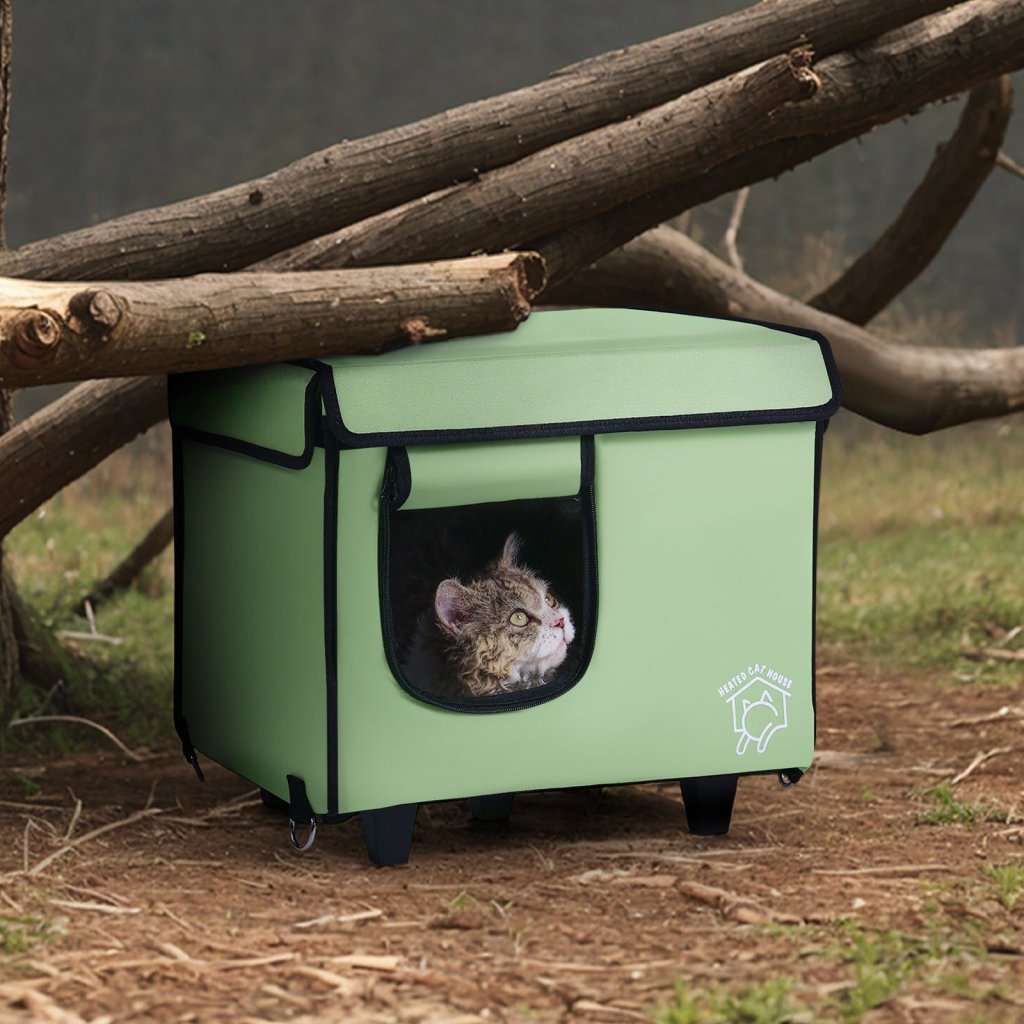 MAIN_25137-4_us-zftsbymbhsnj9g53ev2-original-img-v1-cat-house-m100-1-12