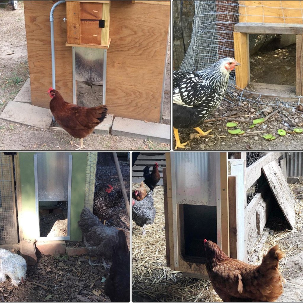 25191-5_us-jlkmqggkztmh00001v2-original-img-v7-automatic-chicken-coop-door-m100-7