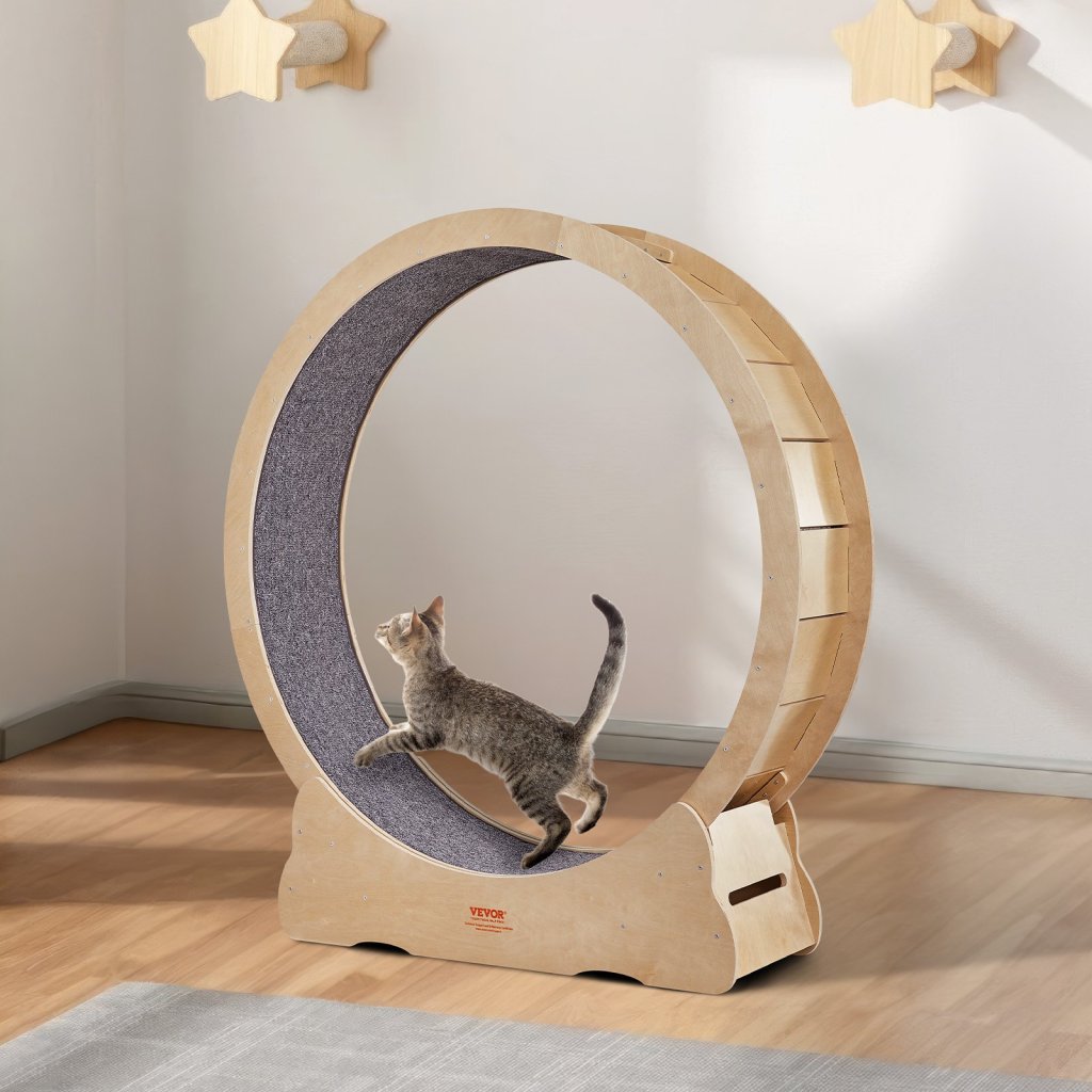 MAIN_25194-4_us-mpbj48inch00z0sk2v0-original-img-v1-cat-exercise-wheel-m100-1-12-2