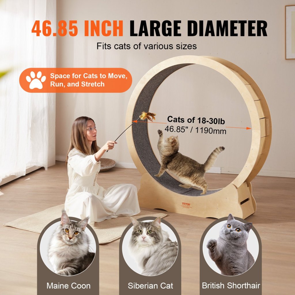 25194-8_us-mpbj48inch00z0sk2v0-original-img-v1-cat-exercise-wheel-f3-2