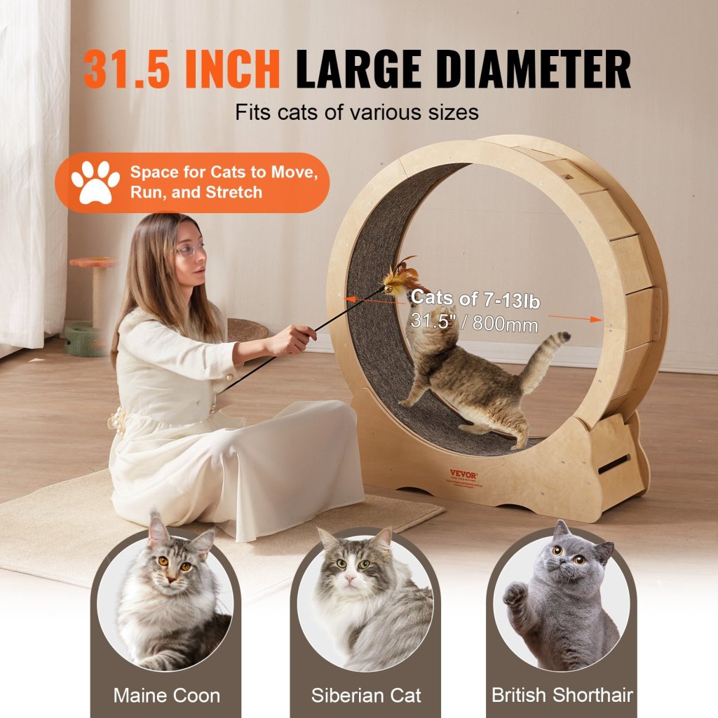 25197-8_us-mpbj366inch0v54wcv0-original-img-v1-cat-exercise-wheel-f3