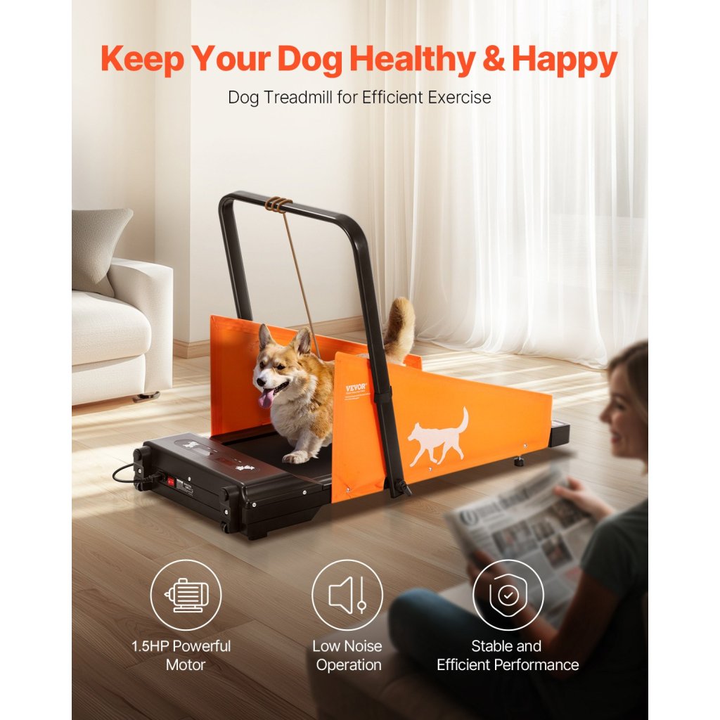 26394-10_us-ddggpbjoczxxgftfmv2-original-img-v2-dog-treadmill-f1
