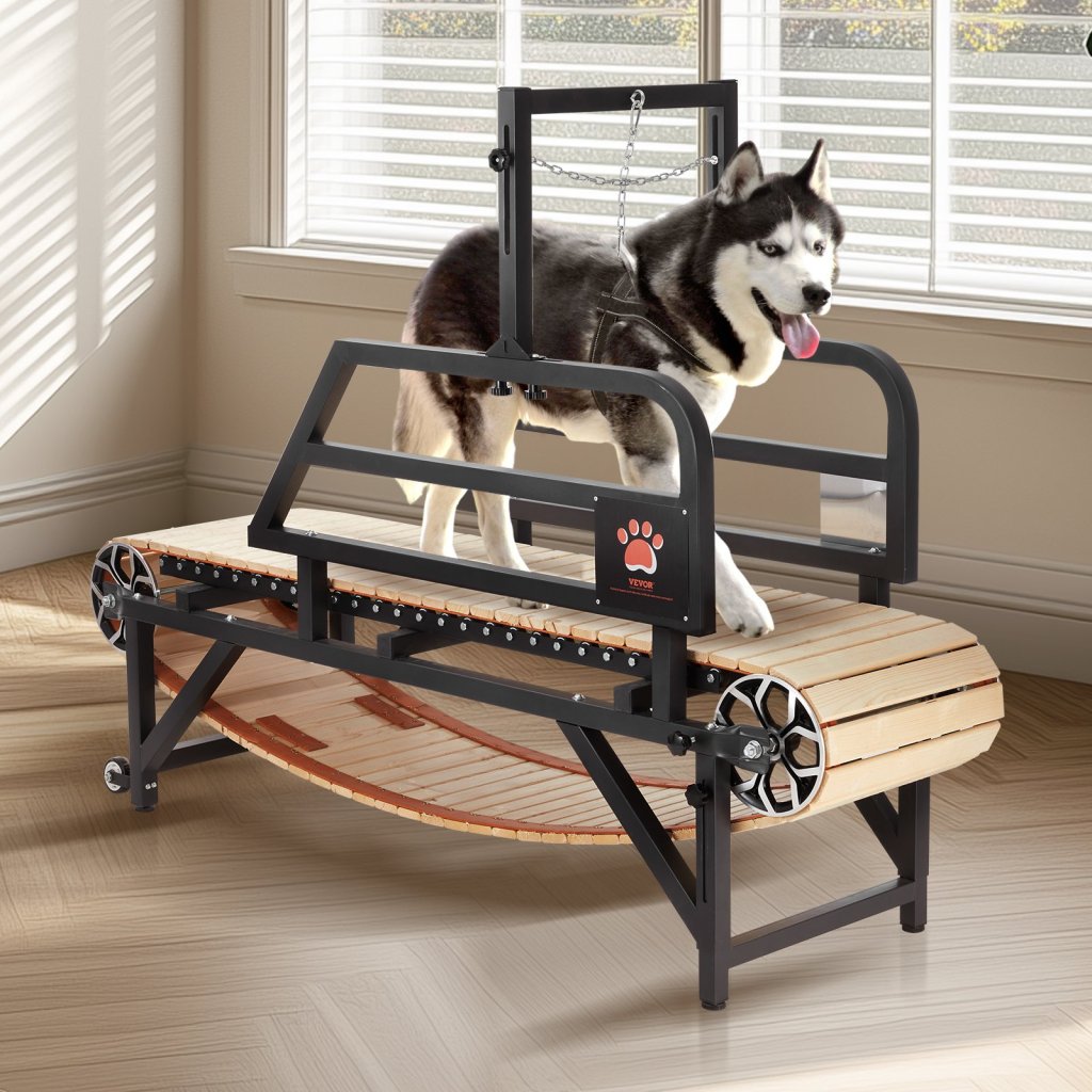 MAIN_26412-4_us-fddggpbjdxqlrmhh8v0-original-img-v1-dog-treadmill-m100-1-12