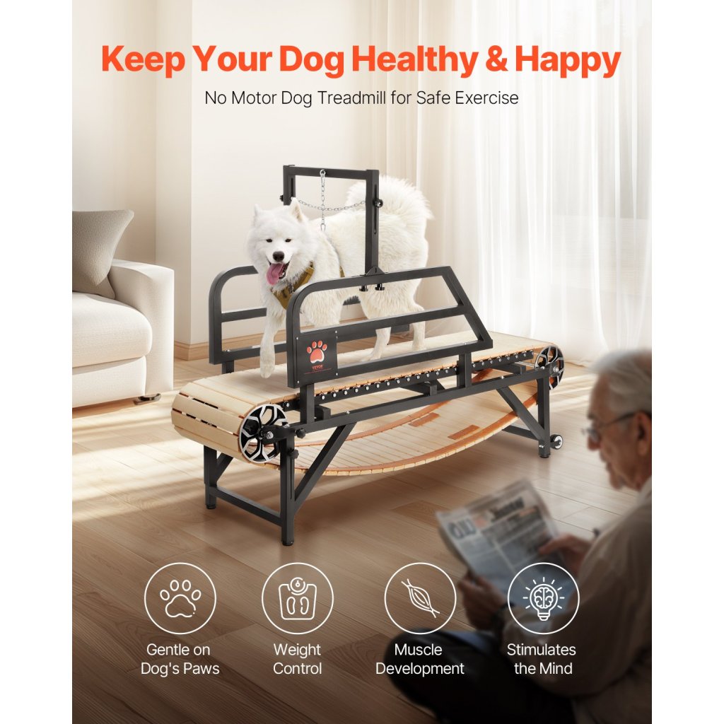 26412-10_us-fddggpbjdxqlrmhh8v0-original-img-v1-dog-treadmill-f1
