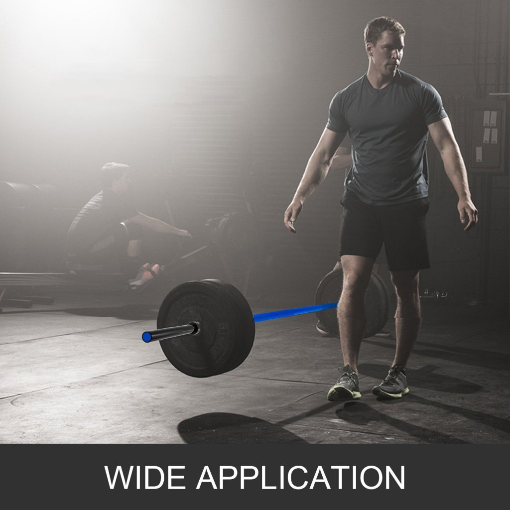 22090-5_us-glg2m15kgblue0001v0-original-img-v13-bench-press-bar-m100-7-2