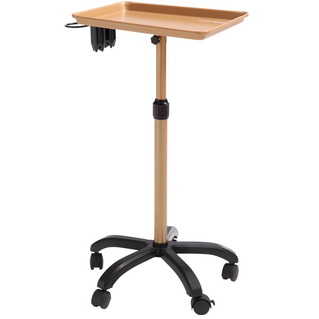 22378_us-sltctpkjs5gjwo3vwv0-original-img-v1-salon-tray-cart-m100-12
