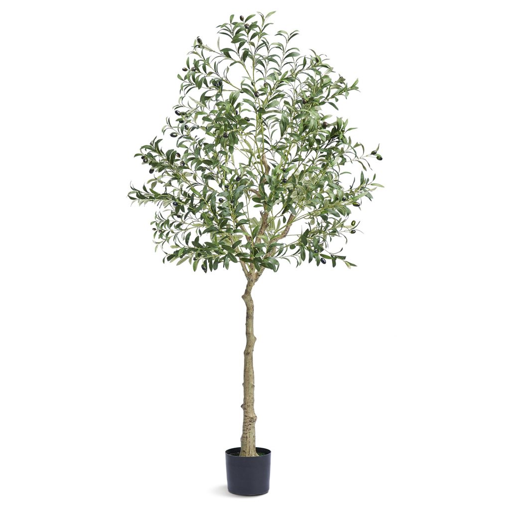 15136-2_us-rzs6ftgls000vajsmv0-original-img-v1-artificial-trees-m100-10