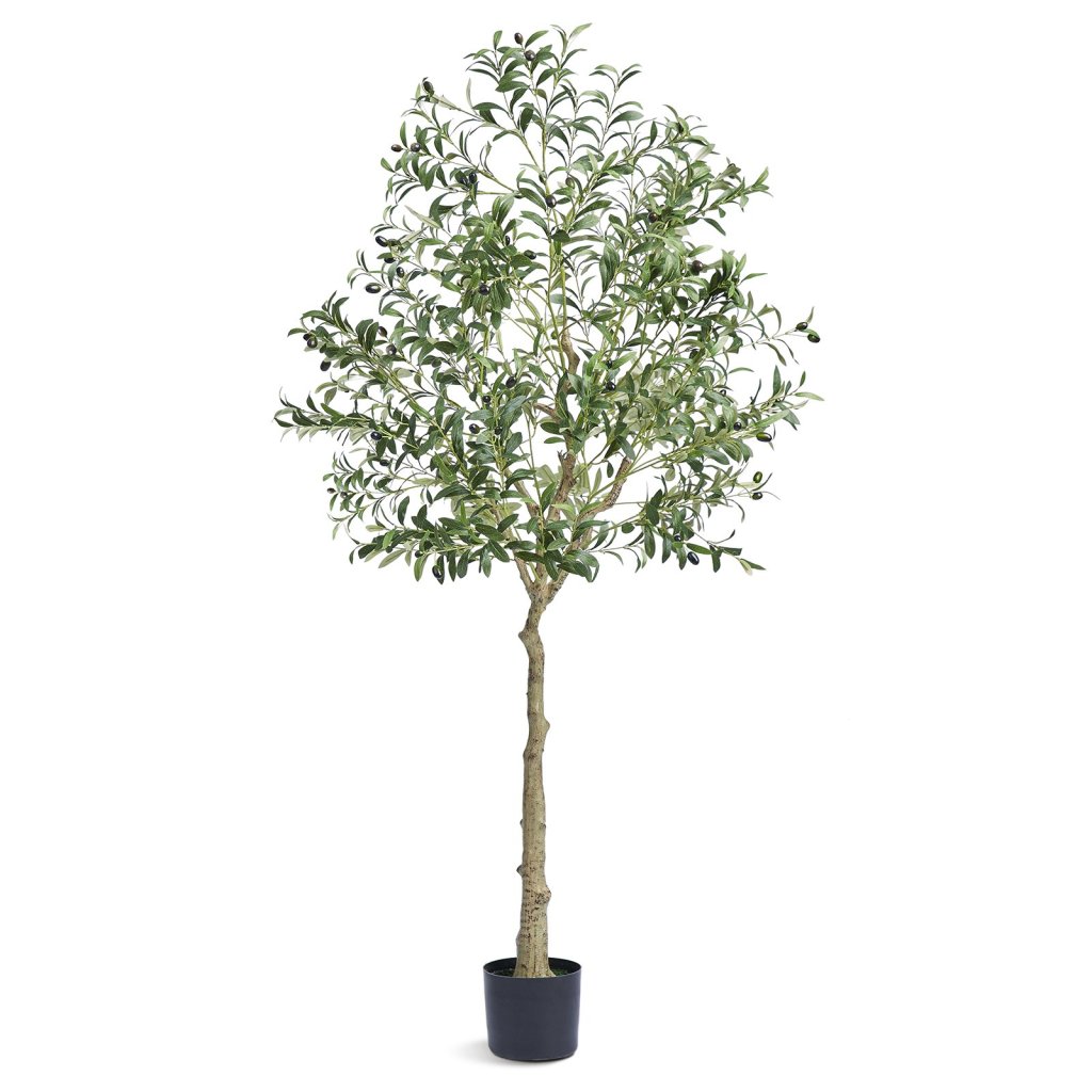 15136-11_us-rzs6ftgls000vajsmv0-original-img-v1-artificial-trees-m100-1-2