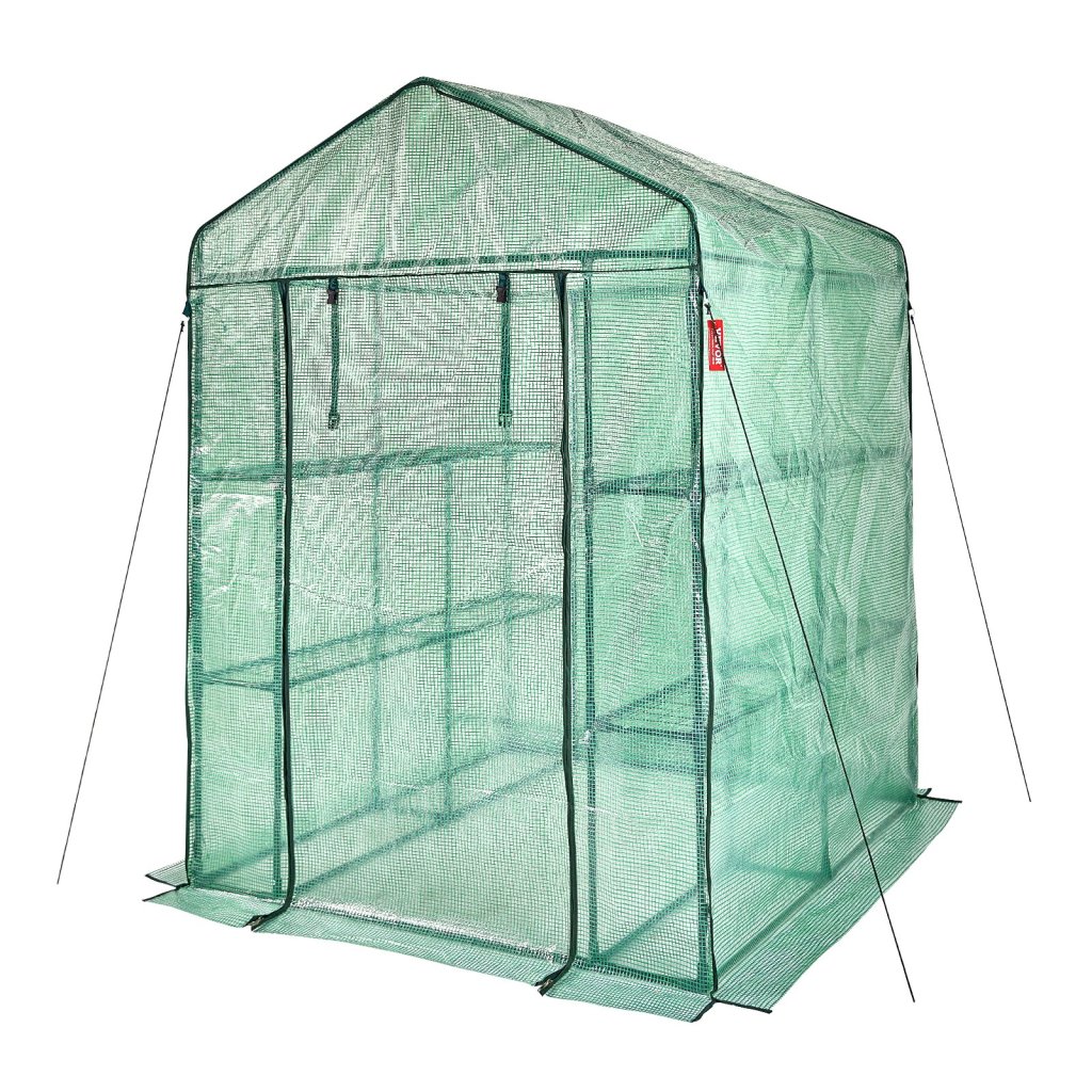15166_us-zxjzwsfmtcglsnqkzv0-original-img-v1-green-house-m100-12