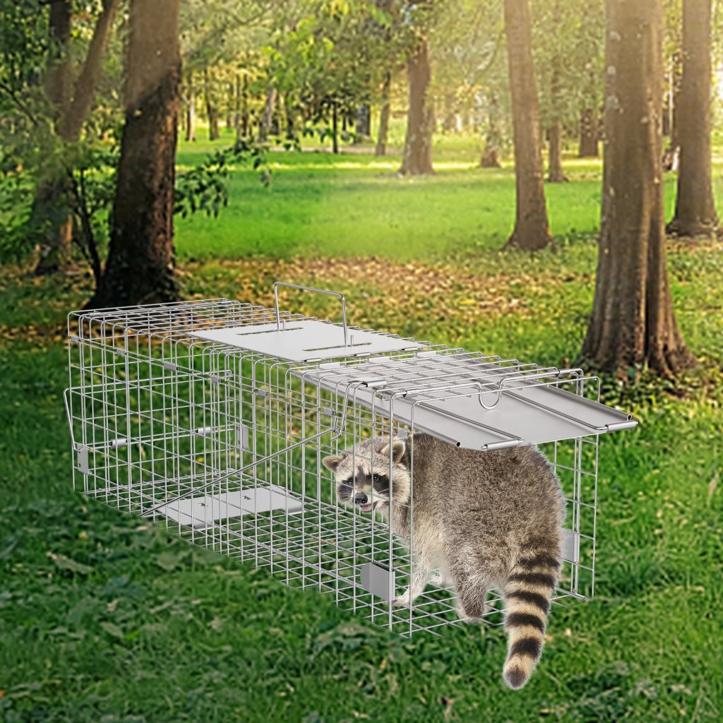 MAIN_15265-4_us-ybl24yc00000s2bgev0-original-img-v1-cage-trap-m100-1-12