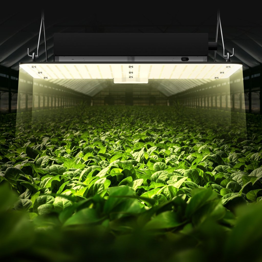 MAIN_20188-4_us-lzb150w21220vn9ehv2-original-img-v6-grow-light-m100-1-12