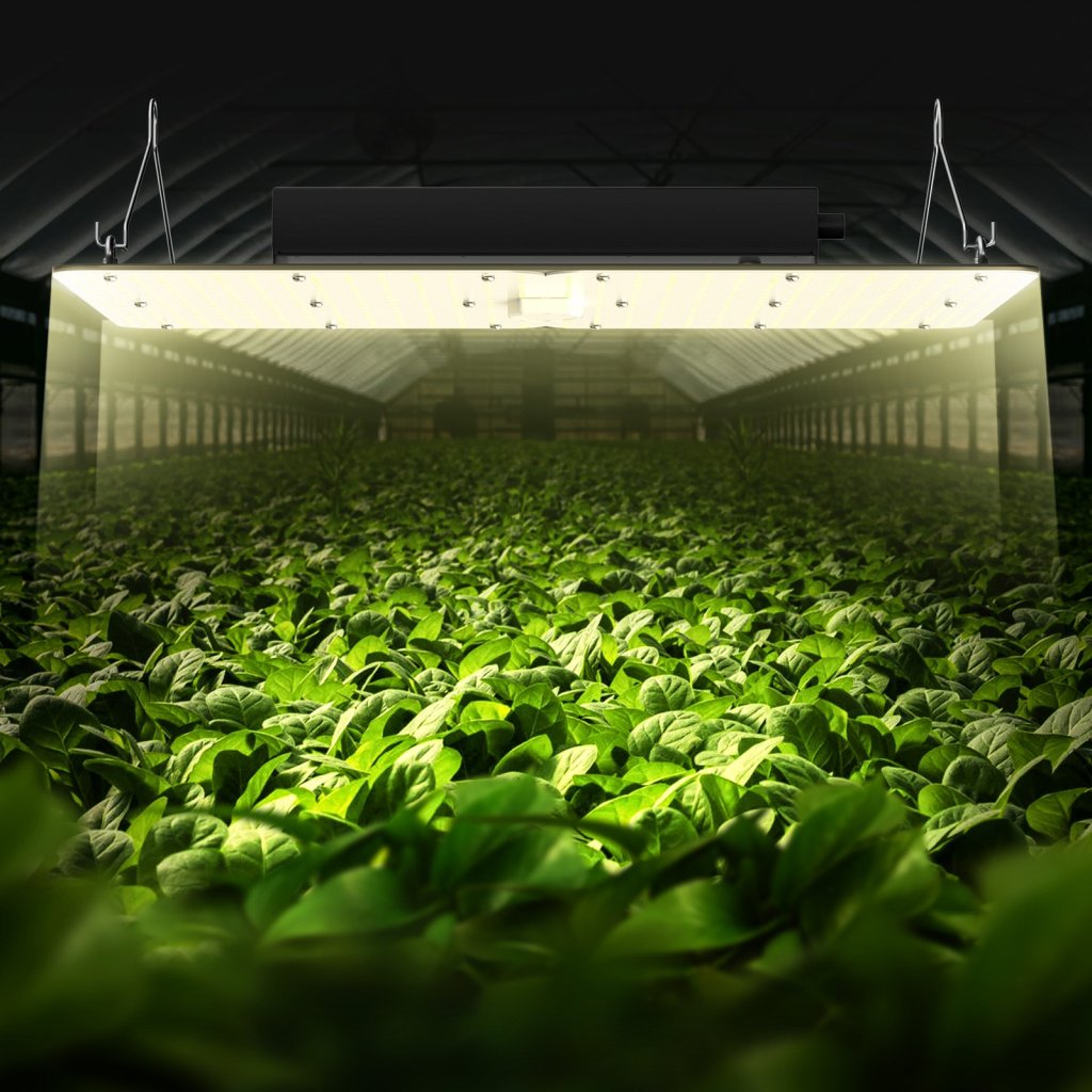20191-4_us-lzbzwsz320w23dgh5v2-original-img-v5-grow-light-m100-1-12