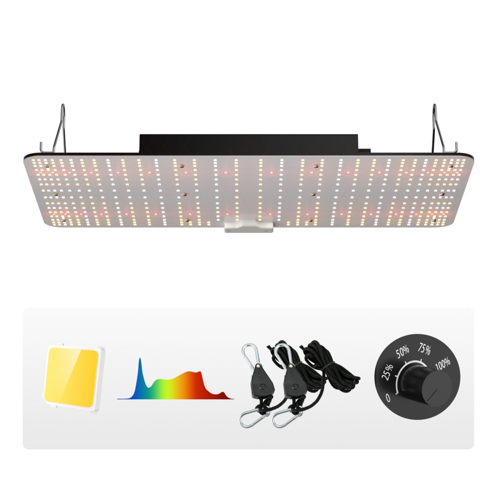 MAIN_20194-11_us-lzbzwsz210w22pvc8v2-original-img-v6-grow-light-m100-1-2