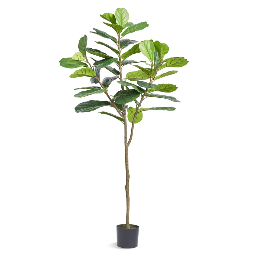 20335-2_us-rzs6ftqs0000rbzy5v0-original-img-v1-artificial-trees-m100-10