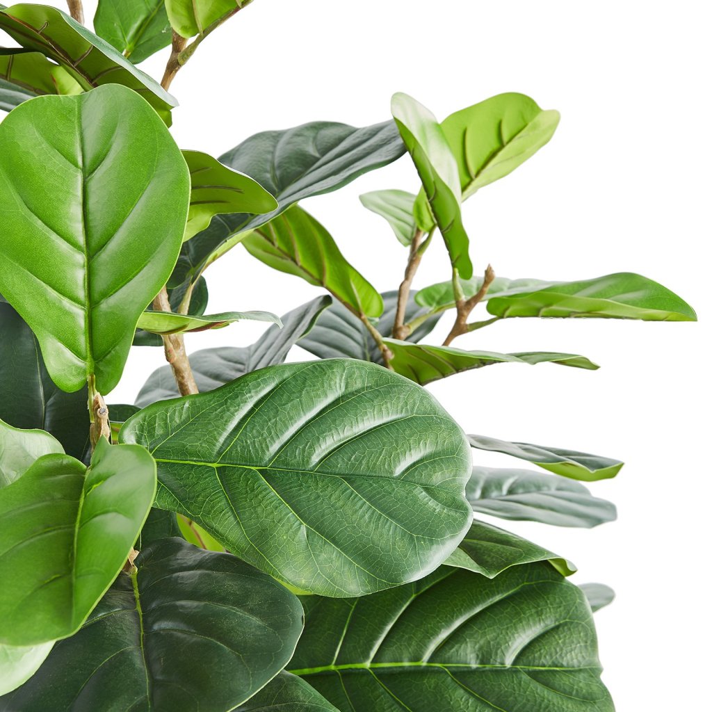 20335_us-rzs6ftqs0000rbzy5v0-original-img-v1-artificial-trees-m100-12