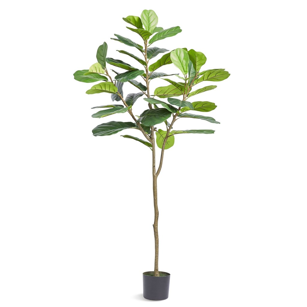 20335-11_us-rzs6ftqs0000rbzy5v0-original-img-v1-artificial-trees-m100-1-2